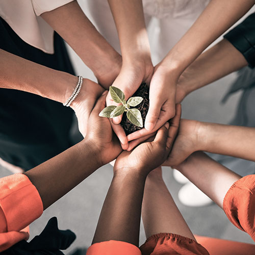 Team members all holding a seedling symbolising unity