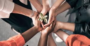 Employees all holding a seedling symbolising unity